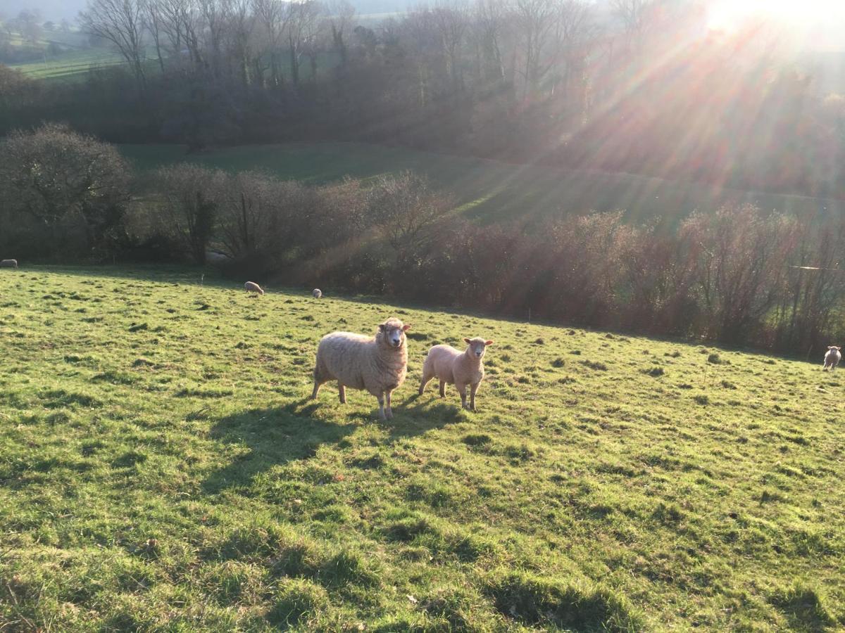 Barn In Somerset Romantic Hideaway Nettlecombe  المظهر الخارجي الصورة