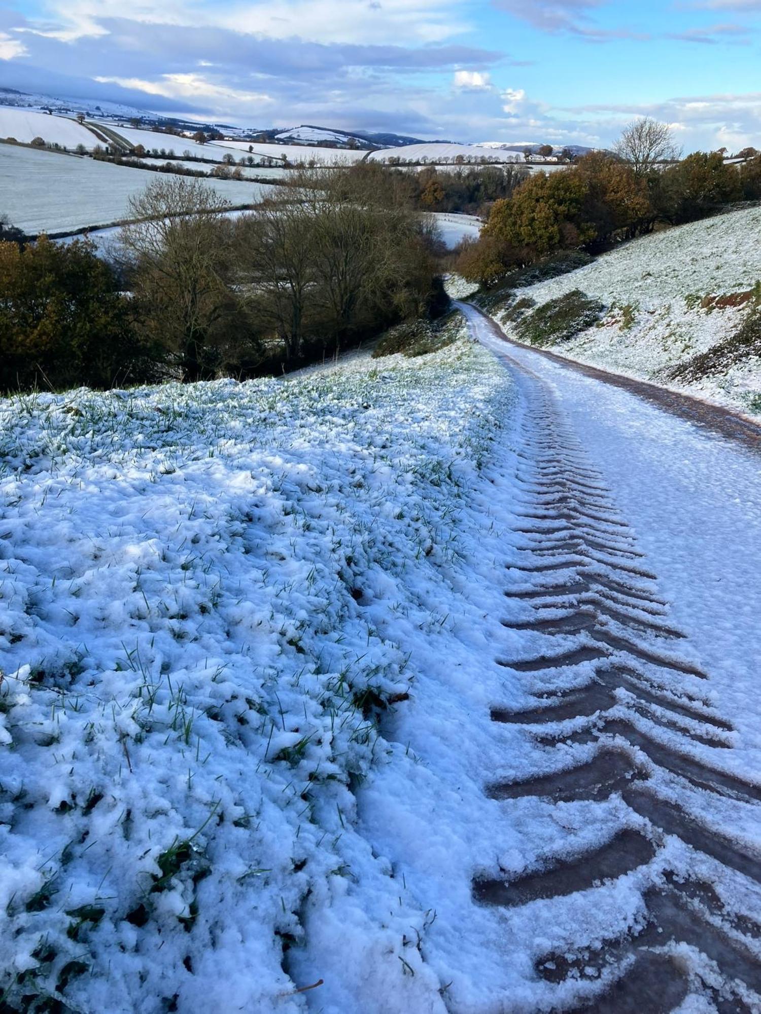 Barn In Somerset Romantic Hideaway Nettlecombe  المظهر الخارجي الصورة